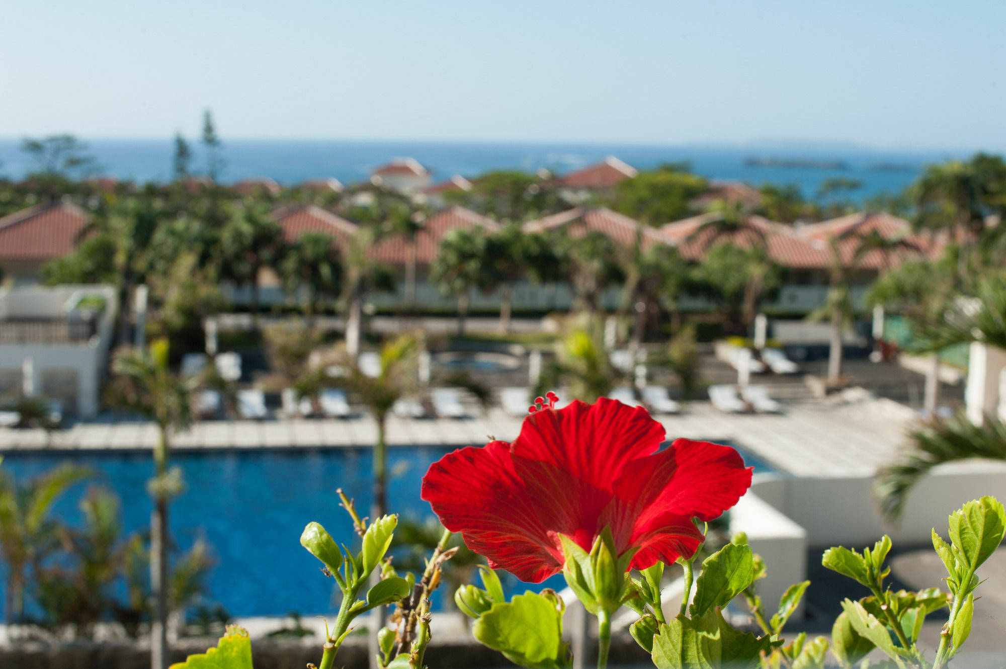 Kanucha Bay Hotel & Villas Nago Εξωτερικό φωτογραφία